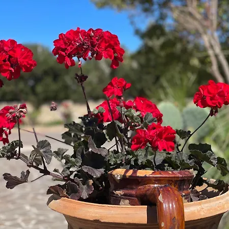 Βίλα Galatea Gagliano del Capo